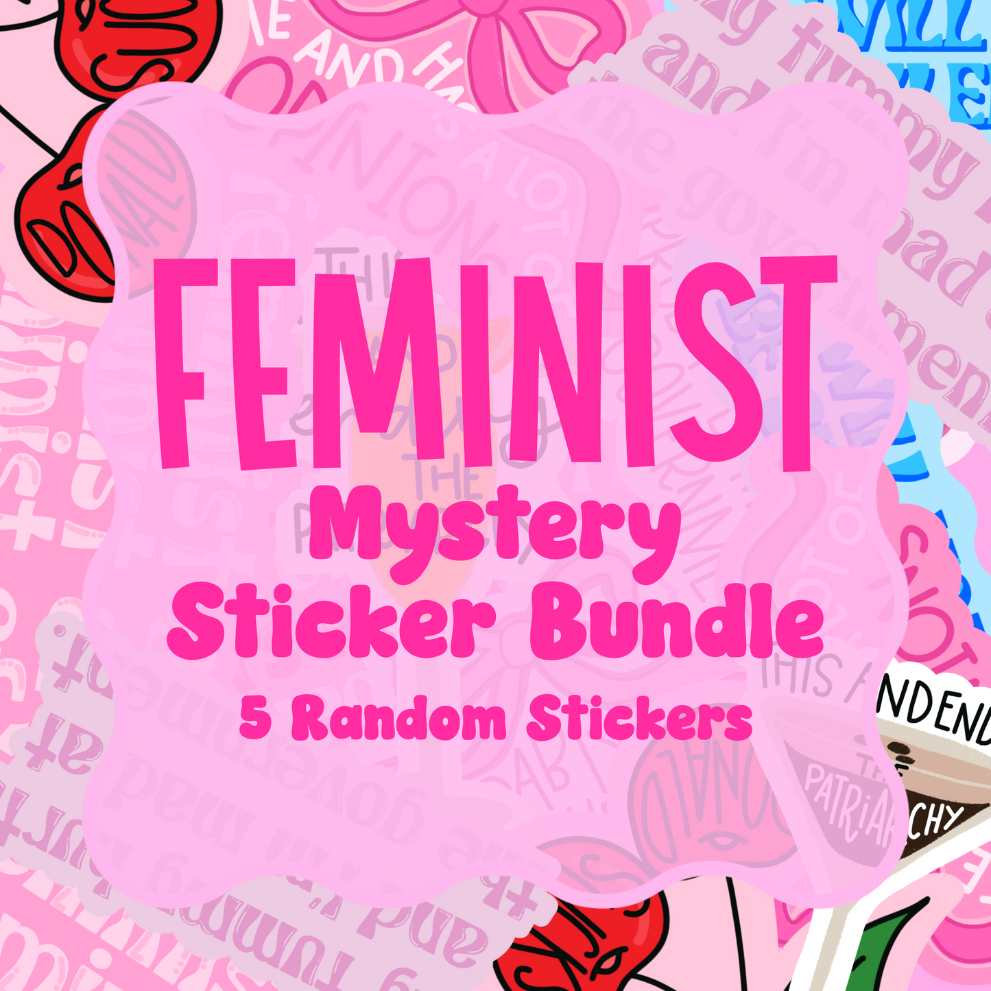 5 Pack Feminist MYSTERY Vinyl Sticker Bundle