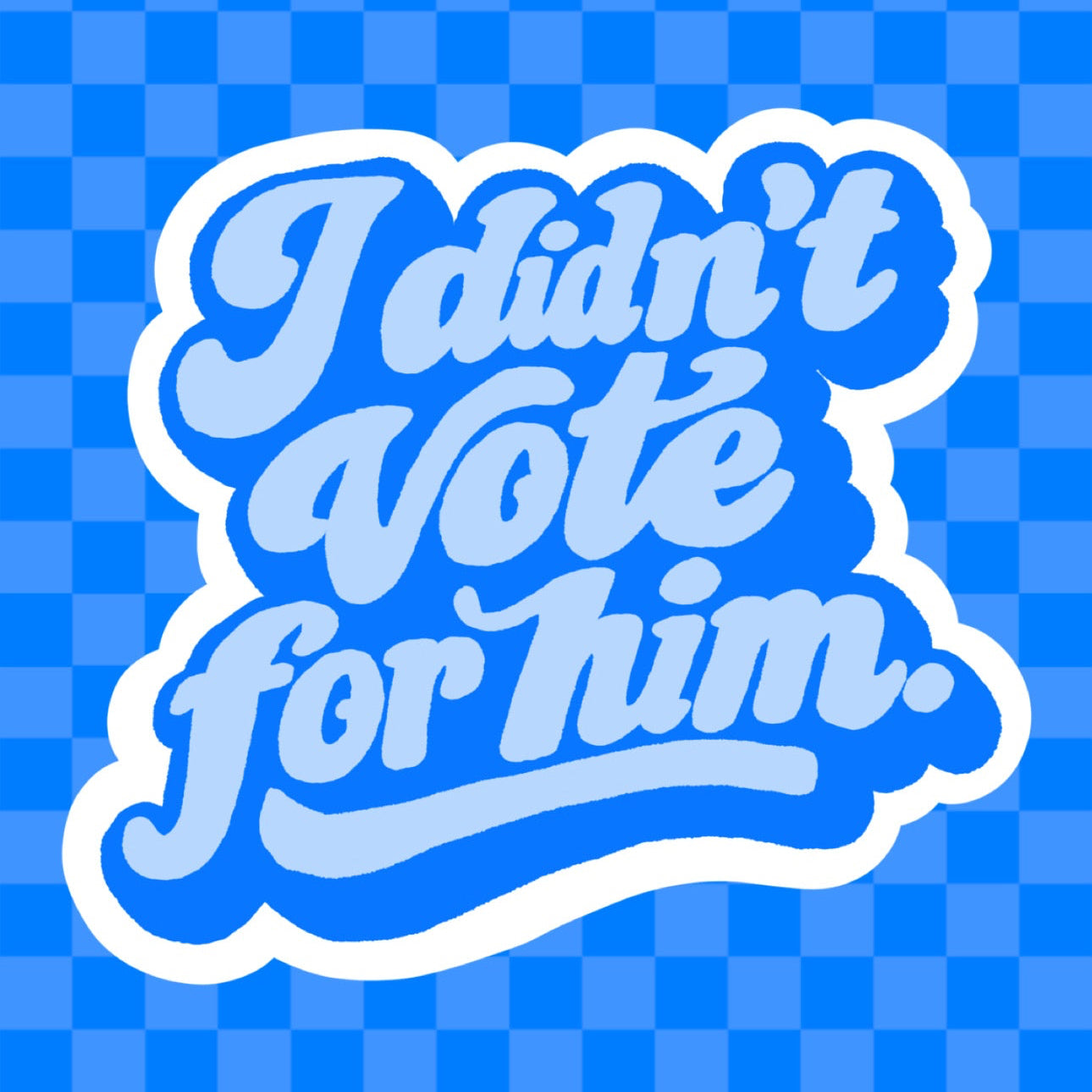 I Didn’t Vote For Him Vinyl Sticker
